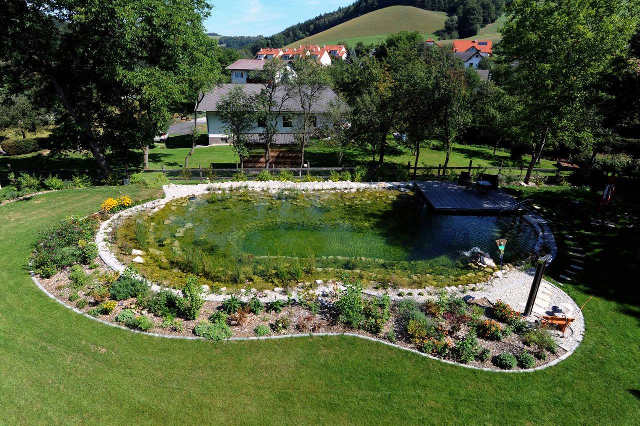 Hotel Geier Bad Schönau المظهر الخارجي الصورة